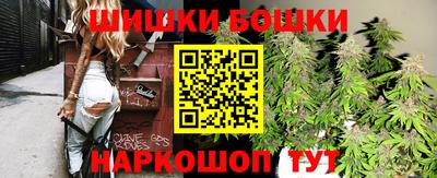 гашик Бийск