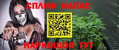 гашик Бийск