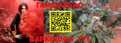 крисы Беслан