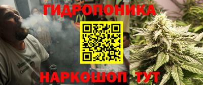 гашик Бийск