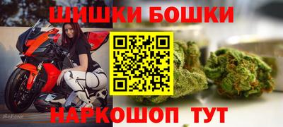 гашик Бийск
